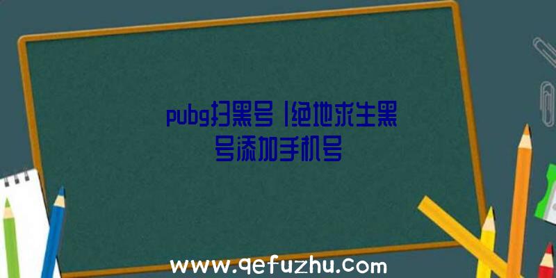 「pubg扫黑号」|绝地求生黑号添加手机号